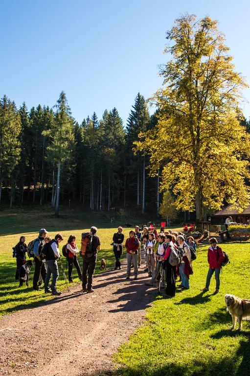 Hostel L'Ost - Ostello Di Grumes Eksteriør billede
